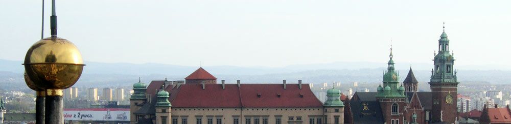Blick auf Krakau. Foto: Ziesing Bildungs- und Studienreisen nach Polen