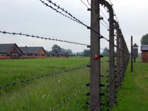 Auschwitz-Birkenau. Foto S. Marzian